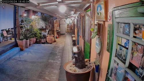 Luye House | Ninth Great-uncle
