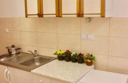 Velji Vinogradi Apartment | NIR Apartments Budva