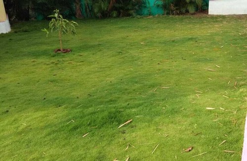 Pune House | NIRVANA - A Nature's Stay