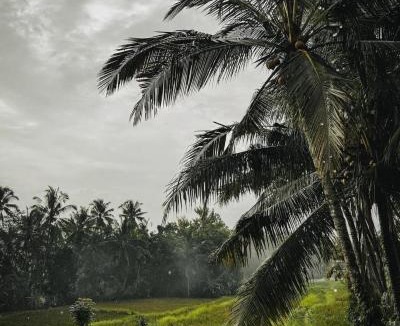 Ubud City-Centre Hotel | Nirwa Ubud Karma