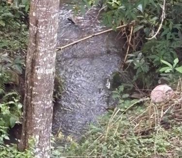 Yercaud Hotel | NJK Residency