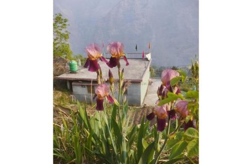Gobind Dham House | Nk brothers,Joshimath