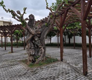 Agios Onoufrios House | NK Chrysorroa