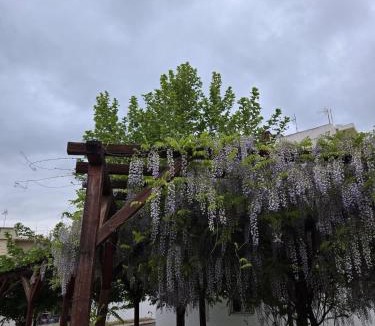 Agios Onoufrios House | NK Chrysorroa