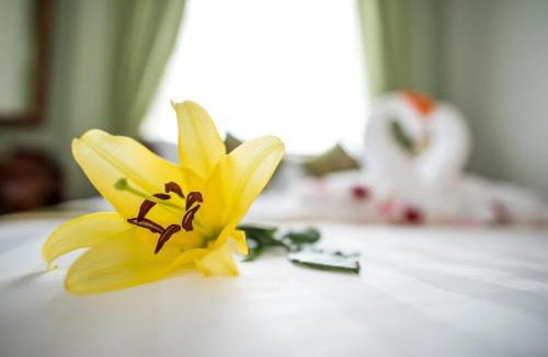 Chamkar Mon Hotel | NKS Hotel