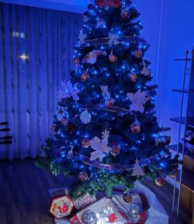 Craiova Apartment | Noah Apartment