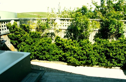 Moeraki Apartment | NOAH'S BOUTIQUE ACCOMMODATION MOERAKI