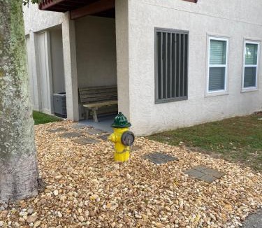 Tallahassee Apartment | Noles Grotto