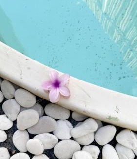 Babakan Apartment | NOMAD Chic Private Pool Loft in Canggu, all inclusive stay