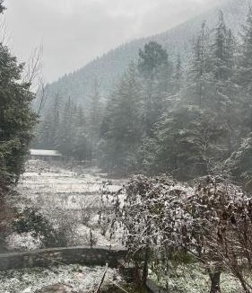 Kasol Hostel | Nomaden Kasol