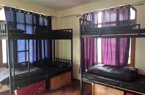 Manali Hostel | Nomadic Den Manali
