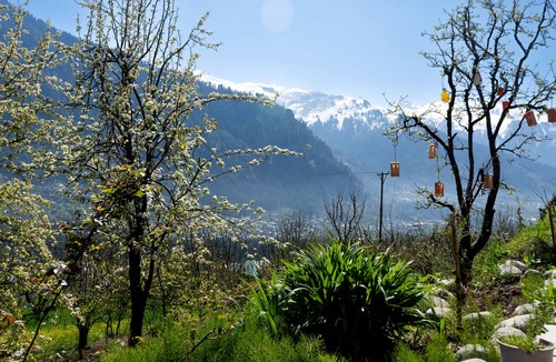 Manali House | Nomadic den Manali