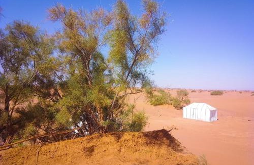 M'Hamid El Ghizlane Resort | Nomads Life Style