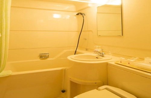 Kintaro Onsen Hotel | Nonsmoking Single with sofa Slightly larger roo/Uozu Toyama