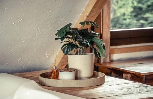 Suncuius House | Nooks by AdyBeca - Forest Nook