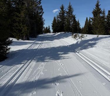 yer Ski Chalet | Nordic Gateway Logde