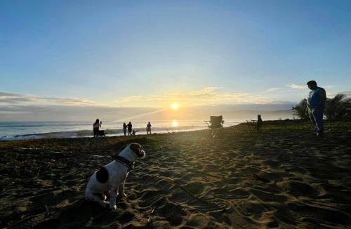 Baler Hotel | North Shore Surf Camp