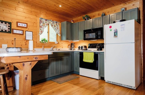 Brill Cabin | Northern Boundaries Cabin Charming 4 Season Rental Cabin at Christie Mt Ski Area