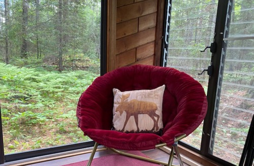 Ely Cabin | Norway Pine Studded Cabin by Bear Head State Park, Trails Galore!