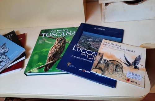 Lucca Historical Center House | Nottolini special 10