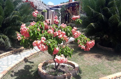 Beberibe House | Nova Chácara Ouro Verde