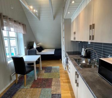 Narvik Apartment | Novatind - Studio apartment with free parking
