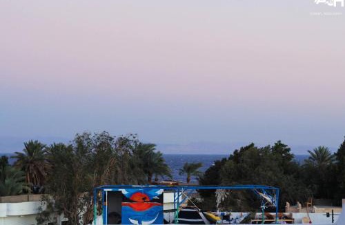 Dahab Other | November Camp