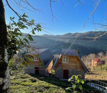 Ayder Apartment | Nozona Villa-Dağ Evleri