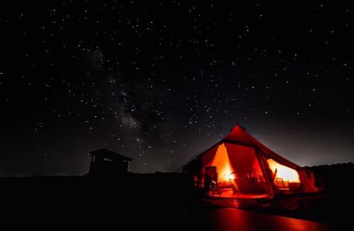 Valensole Other | Nuit insolite dans les lavandes de Valensole