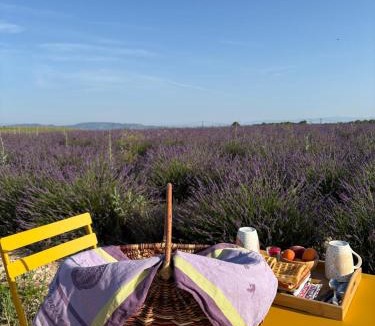 Valensole Other | Nuit insolite dans les lavandes de Valensole