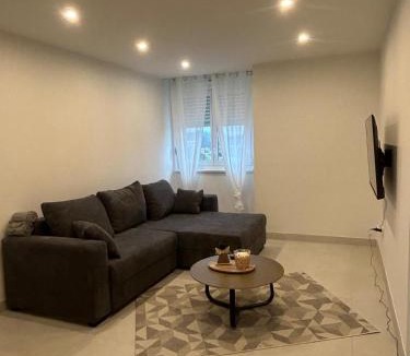Morsbronn-les-Bains Apartment | Nuits en Alsace 2 chambres