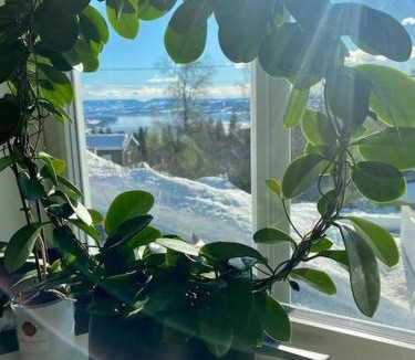 Gjovik Apartment | NY og moderne studioleilighet med elbil lading