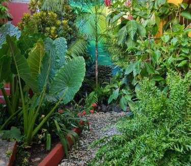 Itacare Hostel | O Pharol Hostel e Pousada
