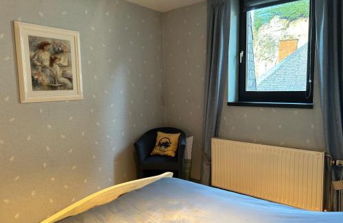 Leffe Apartment | Ô Reflets - Le Reflet Meuse - Appart 1 room view "Meuse" with terrace