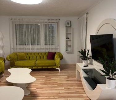 Waldshut-Tiengen Apartment | O&V Apartment
