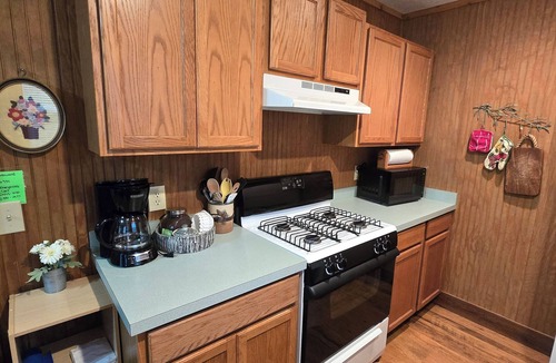 Indian River Cabin | Oak Haven Cottage Secluded & Rustic near Burt Lake Sleeps 6