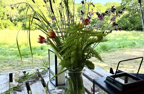 Cullompton RV Rental | Oaktree Nook Camp Secluded camping in 13 acres of magical meadow and woodland.