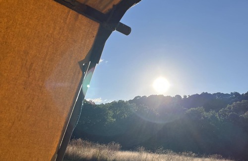 Cullompton RV Rental | Oaktree Nook Camp Secluded camping in 13 acres of magical meadow and woodland.