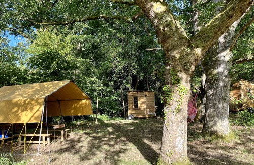 Cullompton RV Rental | Oaktree Nook Camp Secluded camping in 13 acres of magical meadow and woodland.