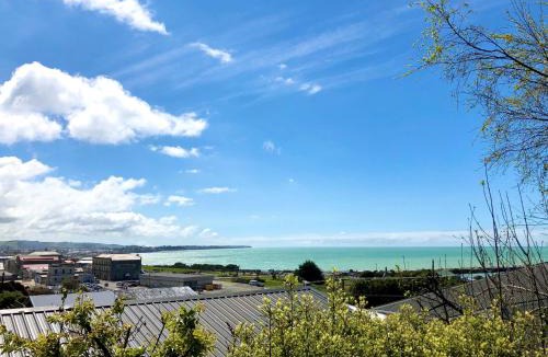 Oamaru Ski Chalet | Oamaru Harbour Nest