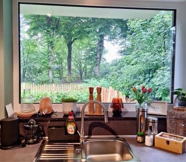 Korbecke Apartment | Oase am See l 2 SZ l Familien und Hundefreundlich l Sauna I E-Ladesäule