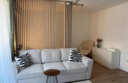 Iasi Apartment | Oasis One