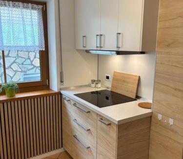 Obereggen Apartment | Obereggen - Anna
