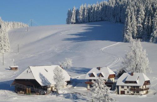 Schollach Apartment | Oberengenbachhof