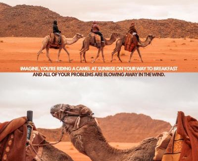 Wadi Rum Other | Oblivion Camp Wadi Rum