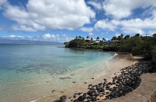 Kahana Hotel | Ocean-Facing Maui B&B Room - Breakfast, BBQ & AC