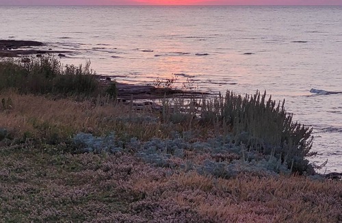 Savage Harbour Cottage | Ocean Front 3 bedrooms. Amazing sunroom and a few minutes walk from Sandy Beach.