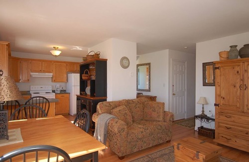 Belfast Cottage | Ocean-front gem on large, private lot.