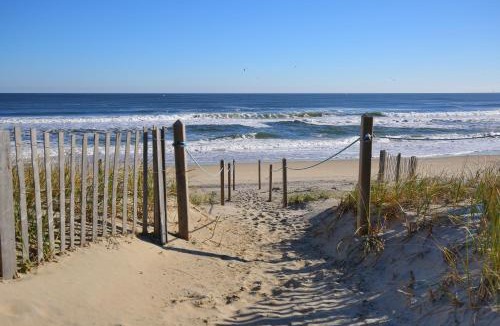 Duck Hotel | Ocean Pines Resort