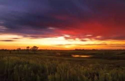 Cooper Jack Bay Settlement Cottage | Ocean View Cottage within a 5 Minute Walk to the Beach